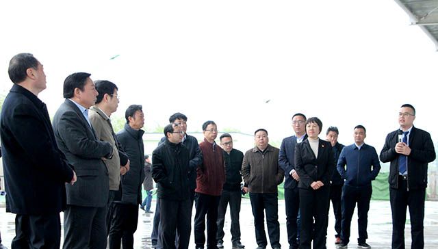 鶴壁市委常委、常務副市長等領導來岐伯基地視察并指導工作